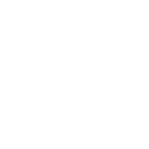 X icon white