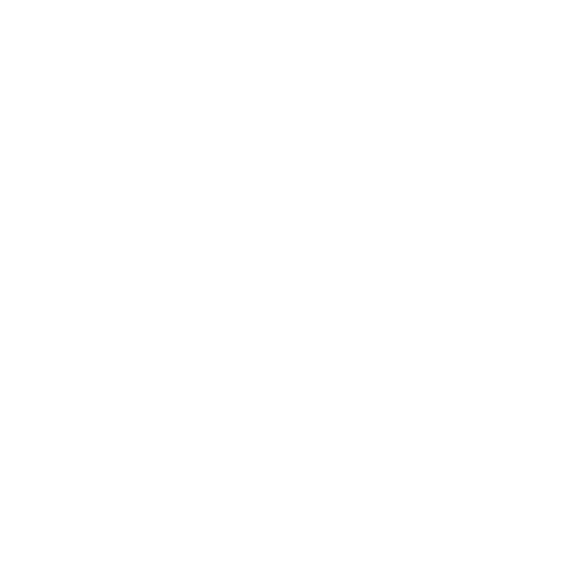 Instagram icon white
